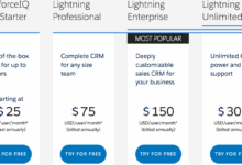 Salesforce CRM cost: Factors, Pricing Models, Cost-Saving Strategies