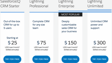 Salesforce CRM cost: Factors, Pricing Models, Cost-Saving Strategies